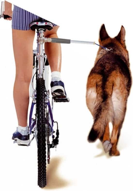 Beste Fietsbeugel hond
