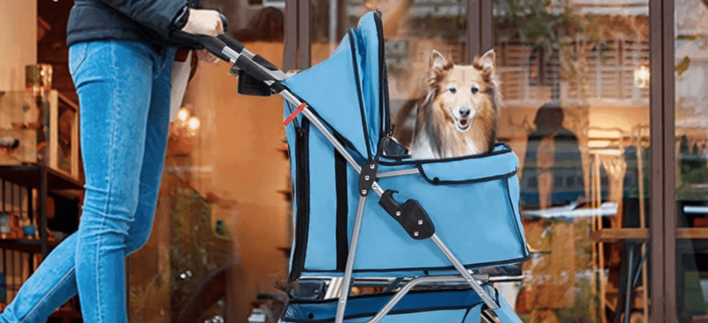 Beste hondenbuggy