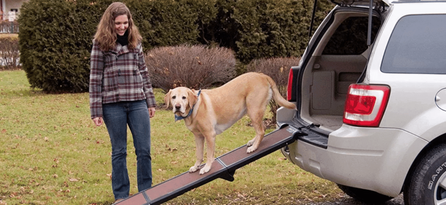 Beste loopplank voor je hond